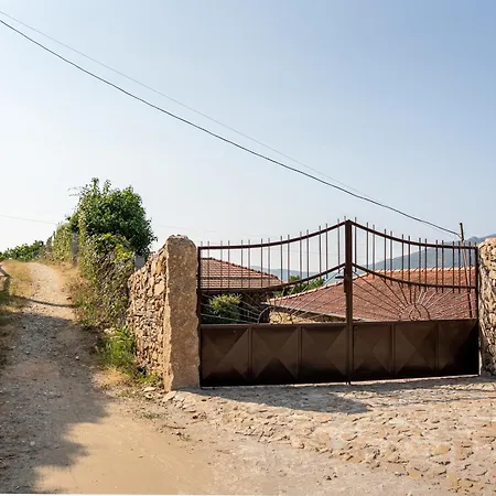 Maria Felicia Village Σπίτι διακοπών Castelo de Paiva