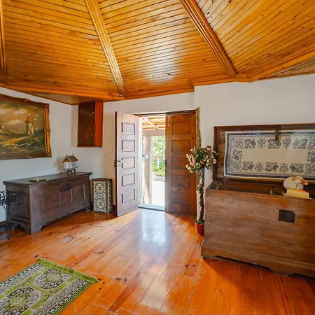 Maria Felicia Village 別荘 *